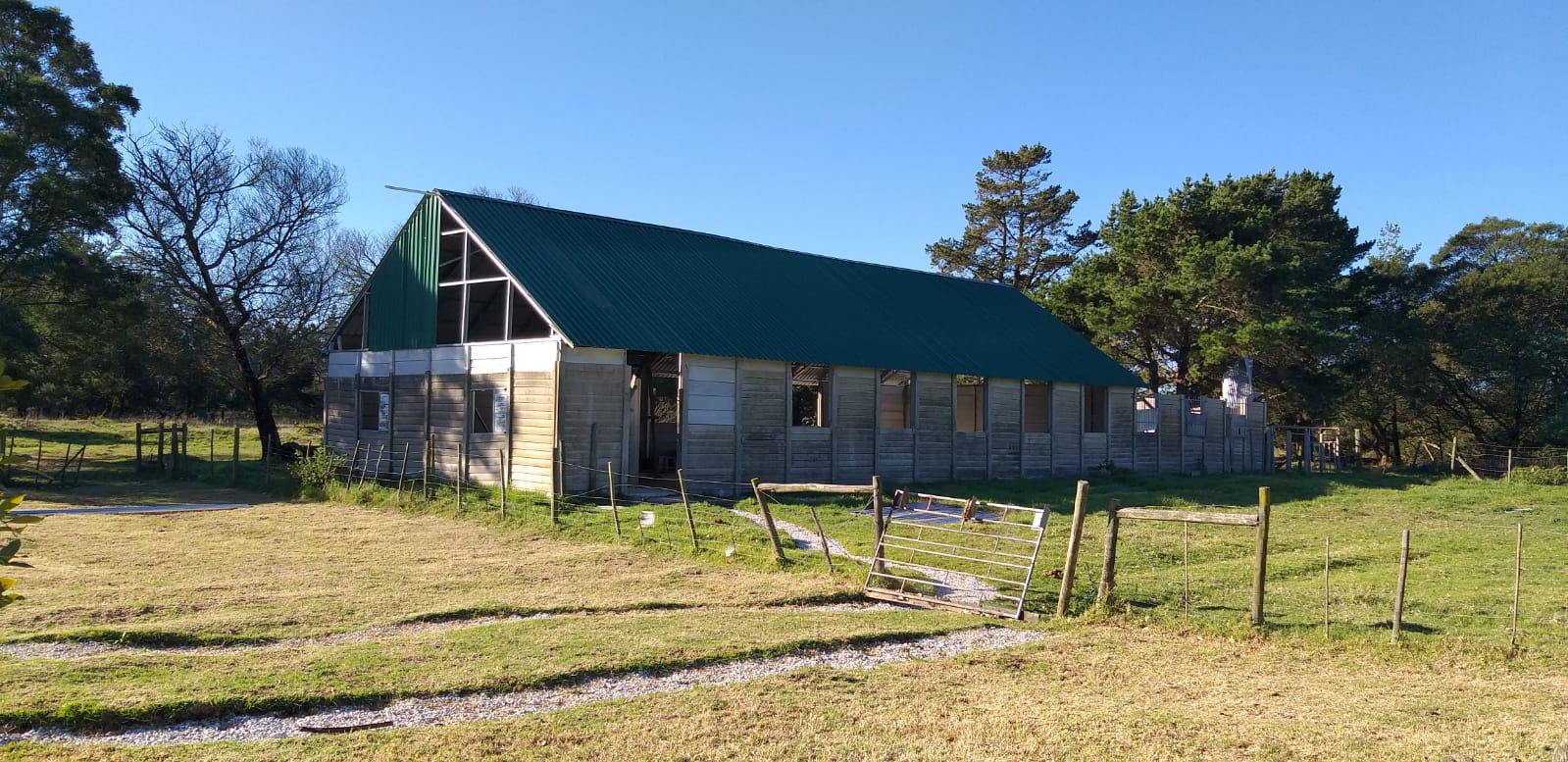 Update on New Roof at Camp Rhino